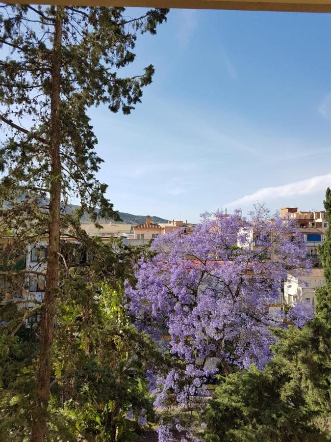 Estudiosol40 Torremolinos Eksteriør bilde
