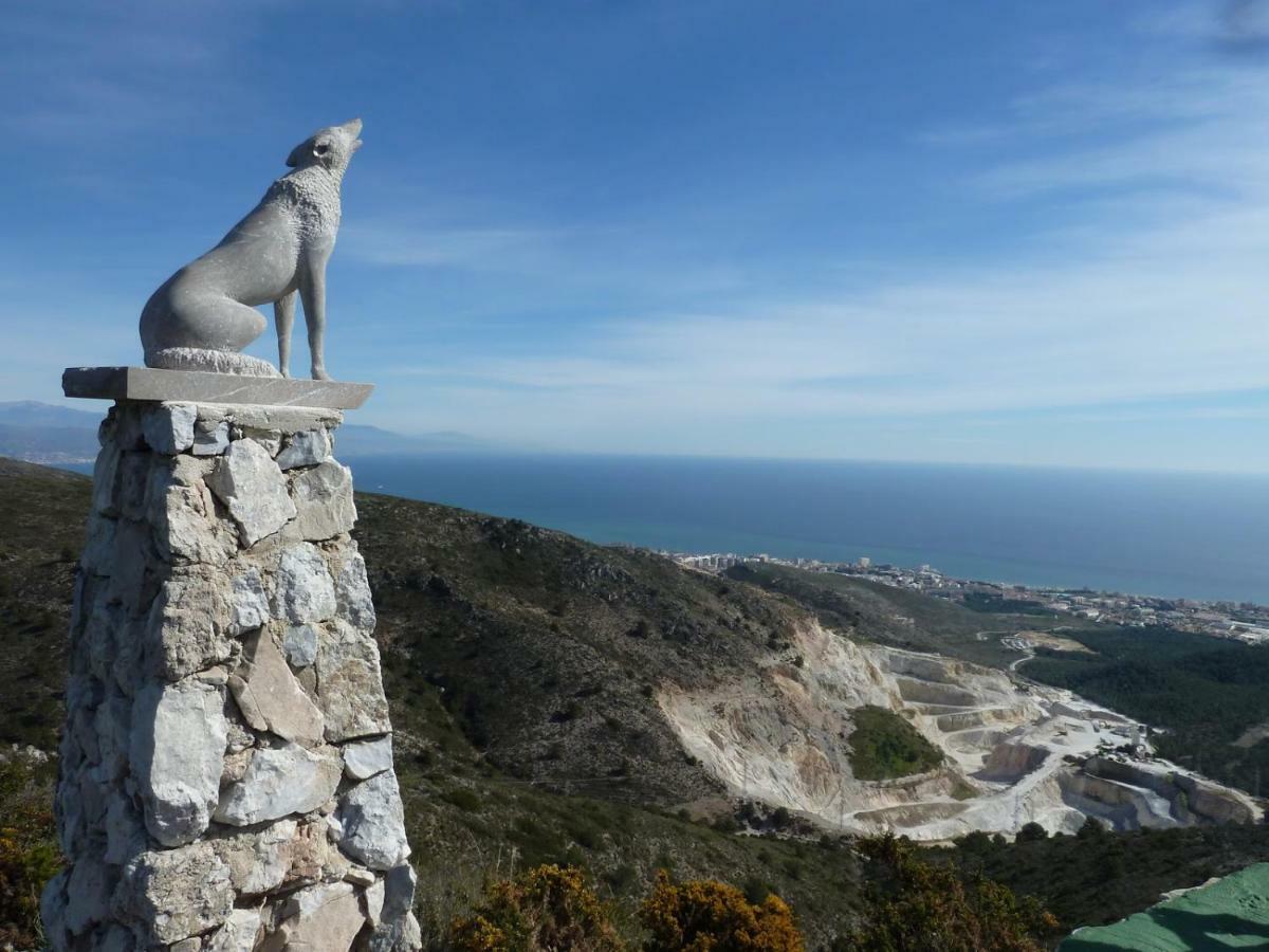 Estudiosol40 Torremolinos Eksteriør bilde